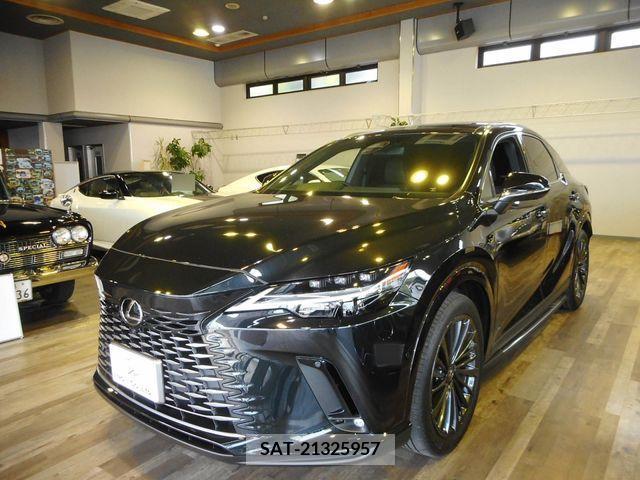 Lexus RX 2024-02 299135-0