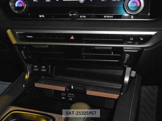 Lexus RX 2024-02 299135-15