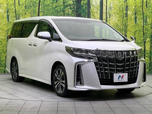 Toyota ALPHARD 2020-06 194715-19