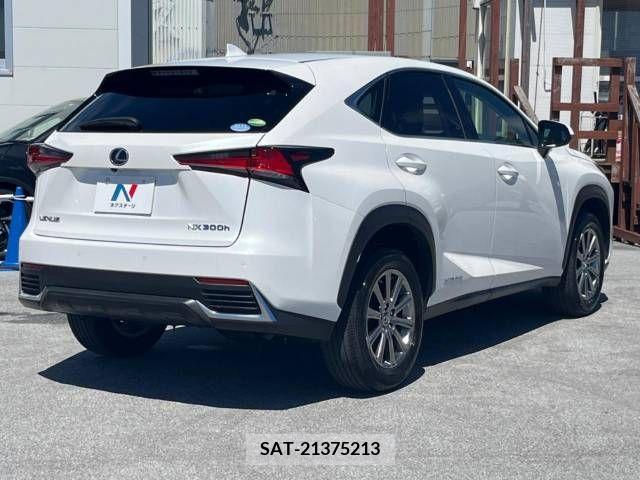 Lexus NX 2018-03 362956-19
