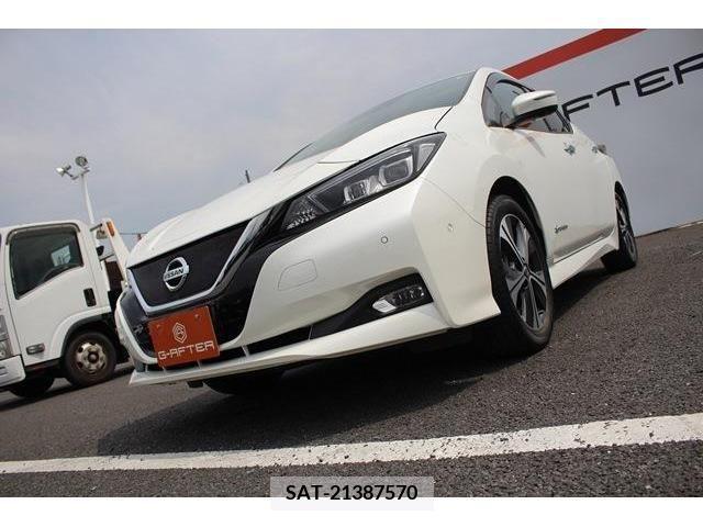 Nissan LEAF 2019-06 383262-12