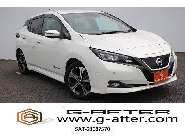 Nissan LEAF 2019-06 383262-0