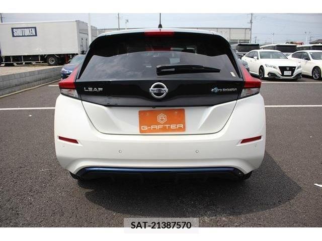 Nissan LEAF 2019-06 383262-9