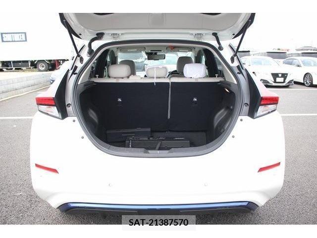 Nissan LEAF 2019-06 383262-17
