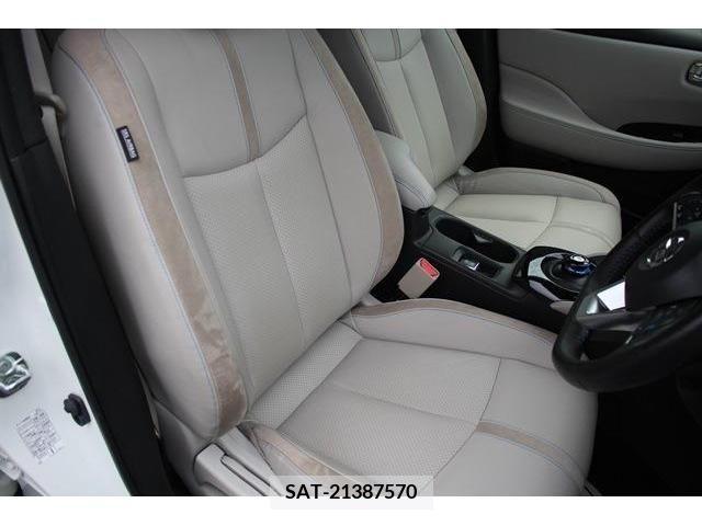 Nissan LEAF 2019-06 383262-14