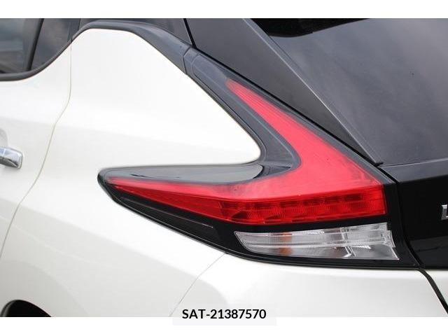 Nissan LEAF 2019-06 383262-13