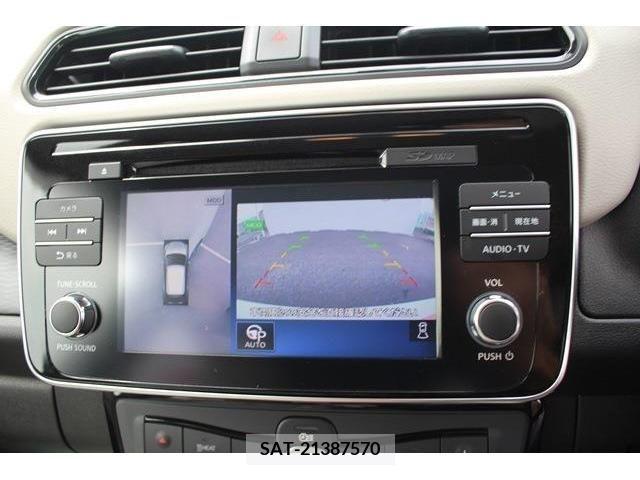 Nissan LEAF 2019-06 383262-2