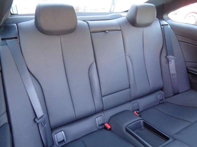 Bmw 4 SERIES 2013-12 15775-8