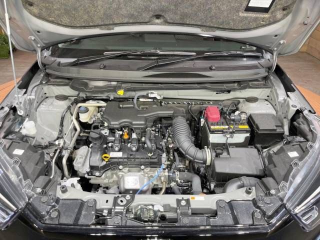 Toyota RAIZE 2023-06 196455-18