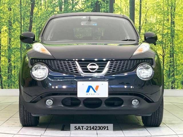 Nissan JUKE 2011-12 379439-14