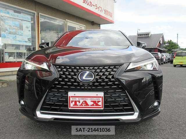 Lexus UX 2019-01 354008-19