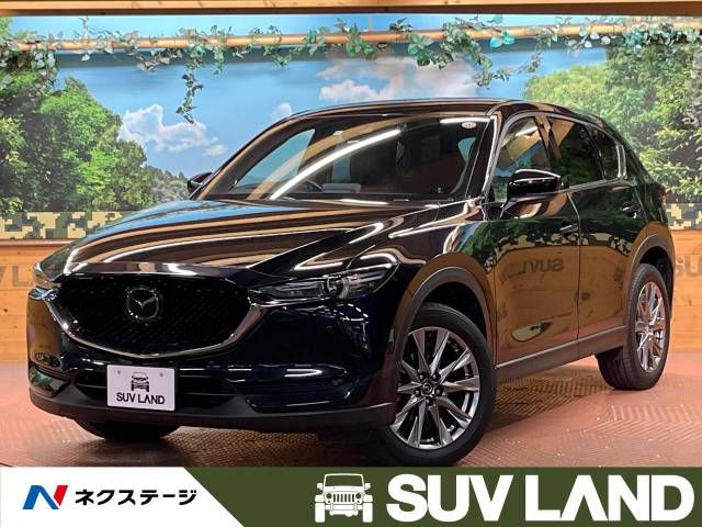 Mazda CX-5 2018-11 13799-0