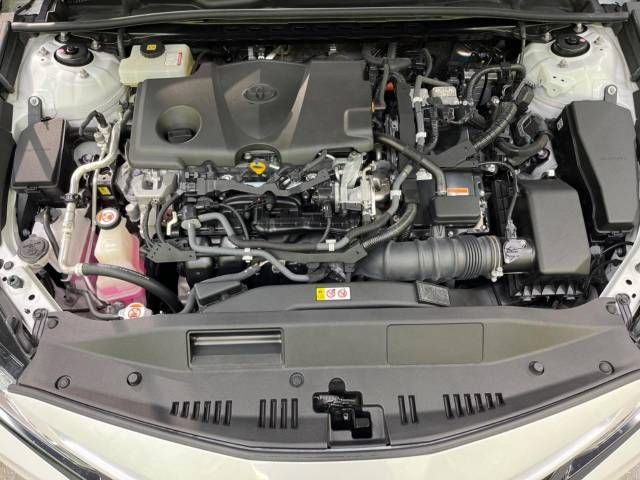 Toyota CAMRY HYBRID 2019-02 189988-19