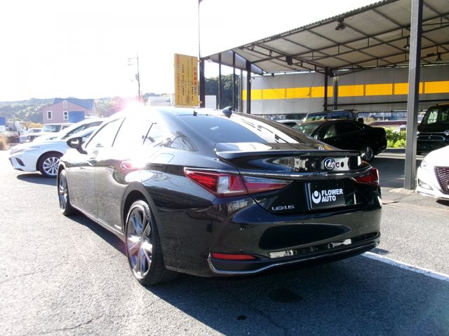 Lexus ES 2019-03 14085-4
