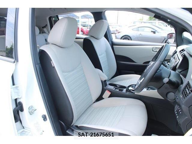 Nissan LEAF 2017-10 378668-13