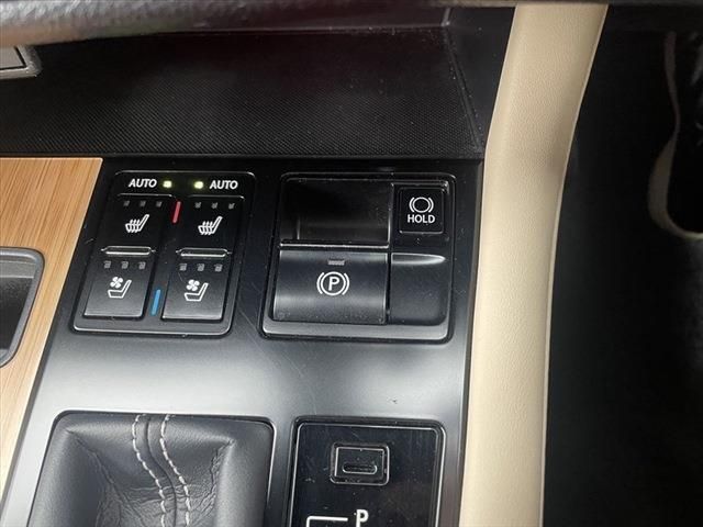 Lexus RX 2020-10 191051-26