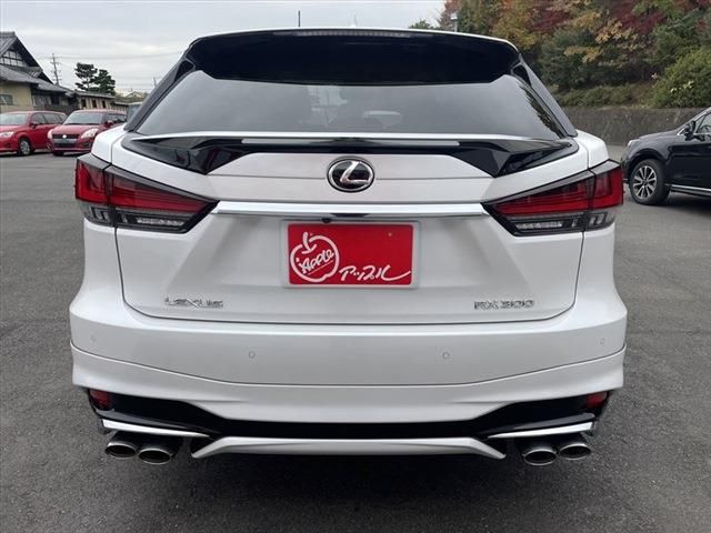 Lexus RX 2020-10 191051-5