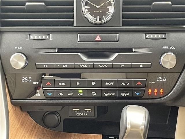 Lexus RX 2020-10 191051-25