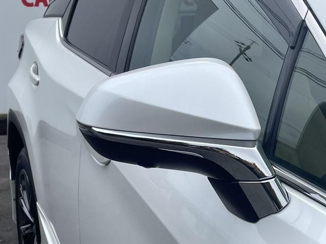 Lexus RX 2020-10 191051-13