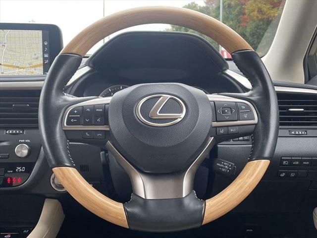 Lexus RX 2020-10 191051-21