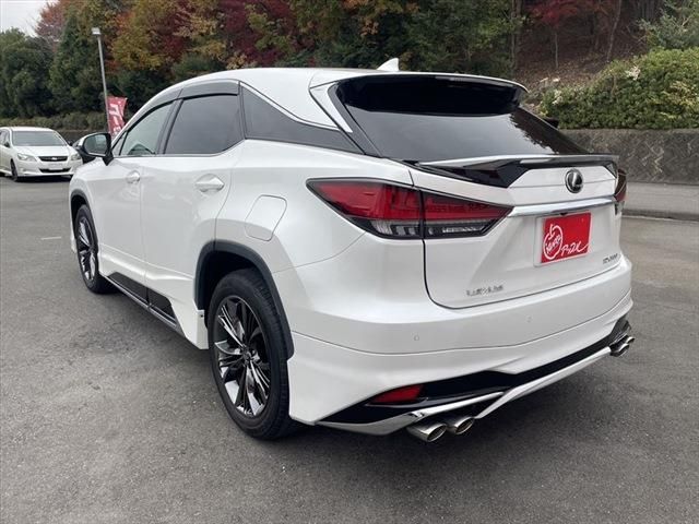Lexus RX 2020-10 191051-6