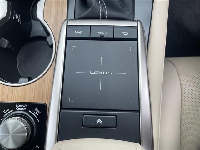 Lexus RX 2020-10 191051-27