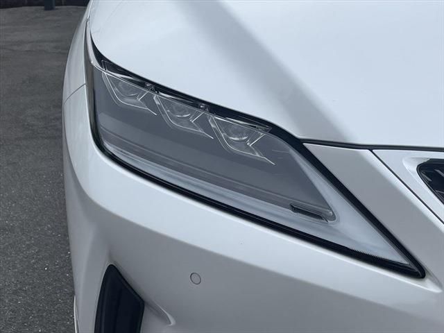 Lexus RX 2020-10 191051-9