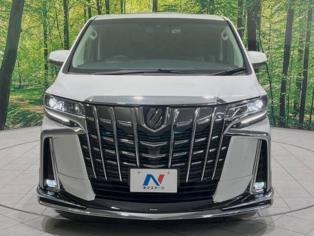Toyota ALPHARD 2021-11 181570-15