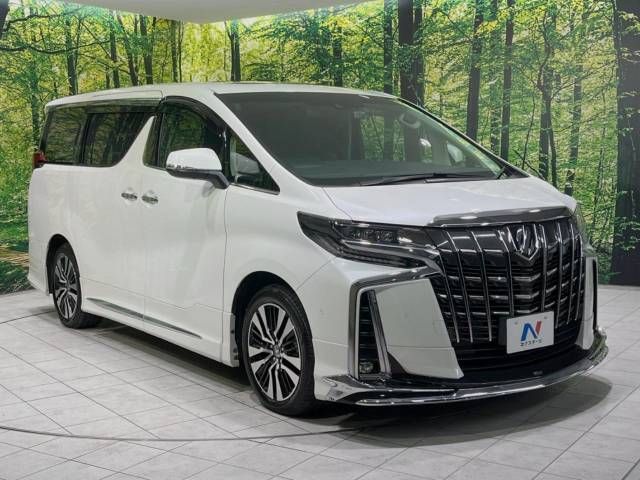Toyota ALPHARD 2021-11 181570-17