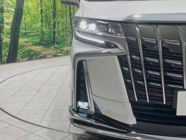 Toyota ALPHARD 2021-11 181570-13