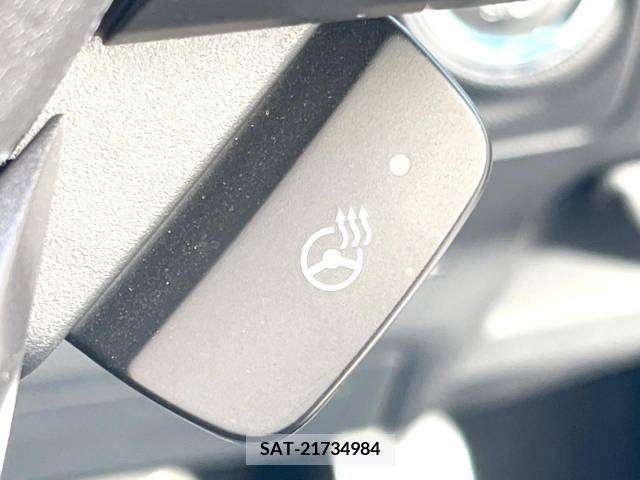 Subaru FORESTER 2019-04 243073-8