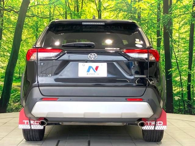 Toyota RAV4 2019-11 19723-15