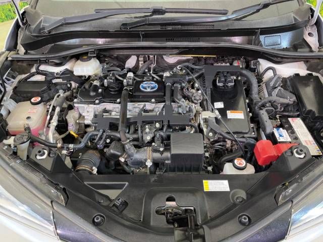 Toyota C-HR 2017-01 195726-18