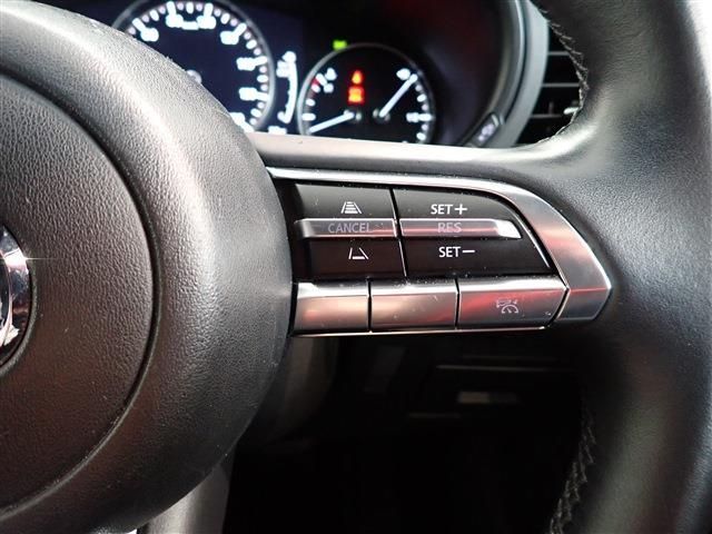 Mazda MAZDA3 2019-10 16330-19