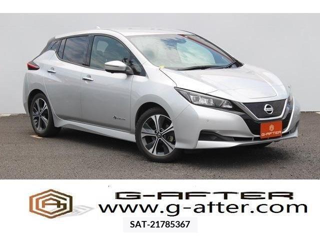 Nissan LEAF 2020-03 384933-0