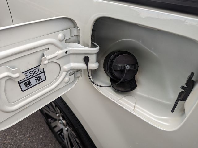 Mitsubishi DELICA D5 2016-02 19803-28