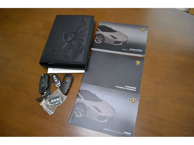 Lamborghini GALLARDO 2012-11 196055-24