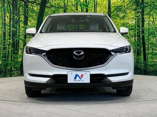 Mazda CX-5 2017-04 191192-14
