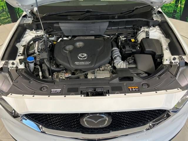 Mazda CX-5 2017-04 191192-18