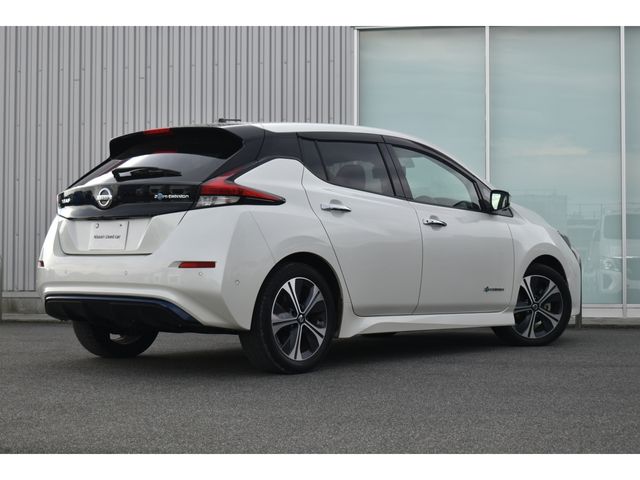 Nissan LEAF 2019-02 13998-1