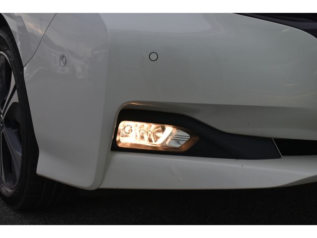 Nissan LEAF 2019-02 13998-20