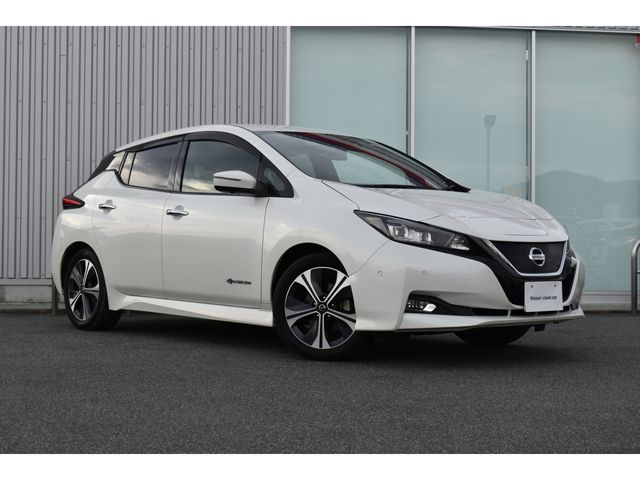 Nissan LEAF 2019-02 13998-22
