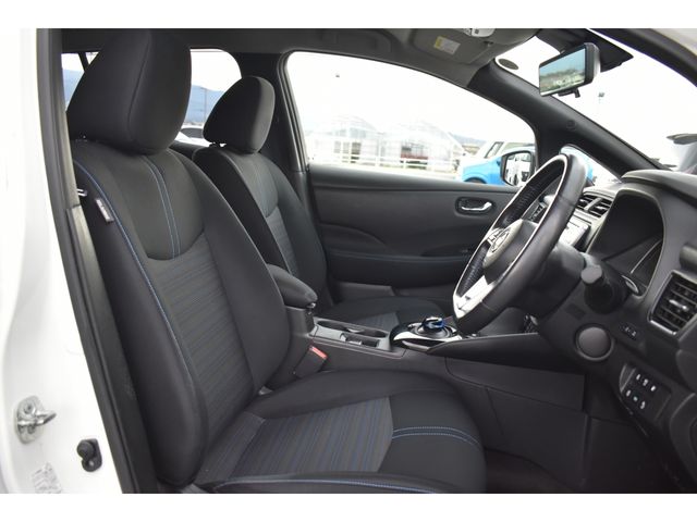 Nissan LEAF 2019-02 13998-13