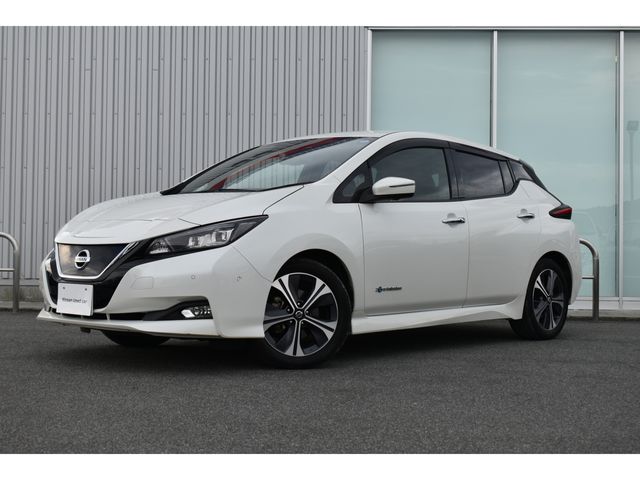 Nissan LEAF 2019-02 13998-0