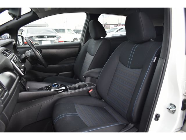 Nissan LEAF 2019-02 13998-14