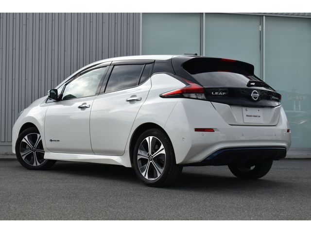 Nissan LEAF 2019-02 13998-23
