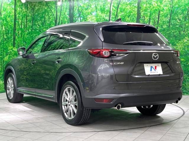 Mazda CX-8 2018-03 24960-16