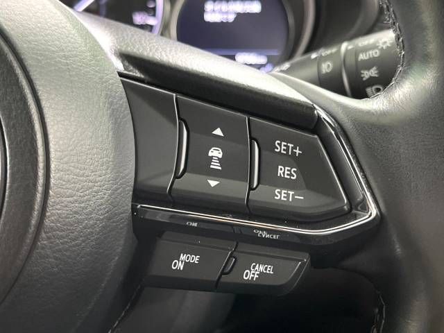 Mazda CX-8 2018-03 24960-4