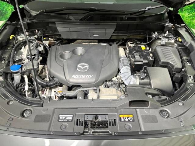 Mazda CX-8 2018-03 24960-19