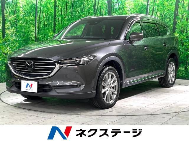Mazda CX-8 2018-03 24960-0